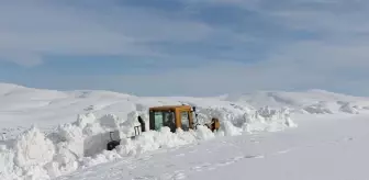 Bingöl'ün Karlıova ilçesinde karla mücadele çalışmaları sürüyor