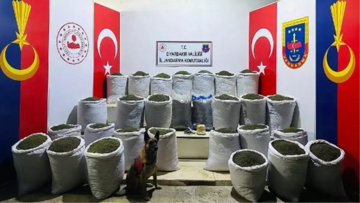 Diyarbakır'da 611 Kilo Esrar Ele Geçirildi, 3 Şüpheli Gözaltına Alındı