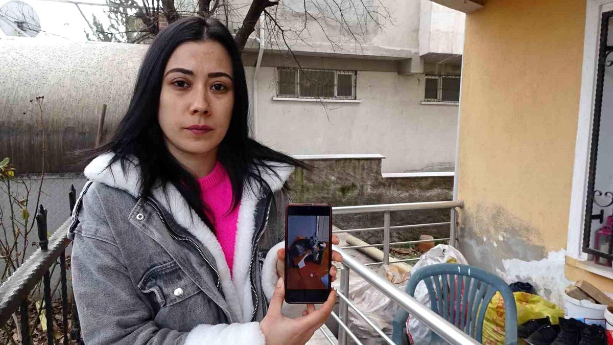 Kütahya'da Kaybolan Kedi İçin Para Ödülü Verilecek