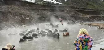 Mandalar Kış Aylarında Kaplıcada Temizleniyor