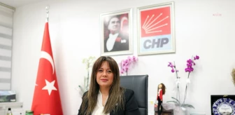 CHP Genel Başkan Yardımcısı Koza Yardımcı İstifa Etti