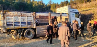 Tavşanlı Orman İşletme Müdürlüğü'nden Uluçam köyüne 750 hünnap fidanı dağıtımı