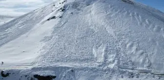 Van'ın Muradiye ilçesinde çığ nedeniyle kapanan yol açıldı