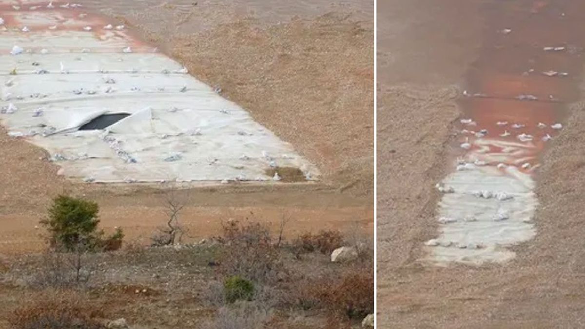 Dezenformasyonla Mücadele Merkezi 'İliç'teki siyanür havuzunda kuşlar ölüyor' iddiasını yalanladı