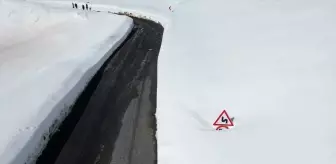 Şırnak'ta kapanan Tanin Geçidi yeniden açıldı