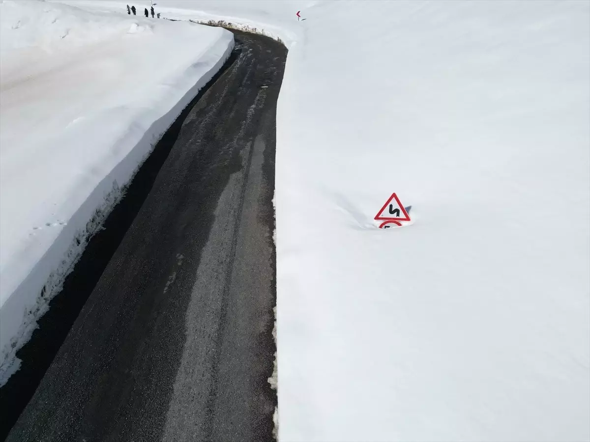 Şırnak'ta kapanan Tanin Geçidi yeniden açıldı