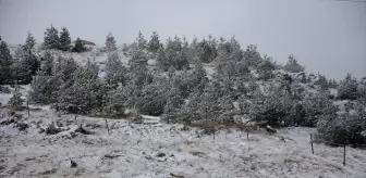 Tokat'ın Başçiftlik ilçesinde kar yağışı etkili oldu