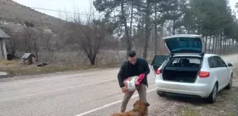 Tokat'ta Polis Memuru Sahipsiz Hayvanlara Mama Dağıtıyor