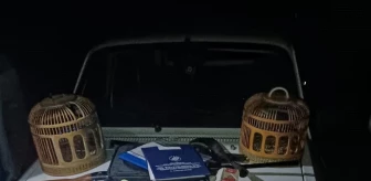 Manisa'da Kaçak Keklik Avlayan 2 Kişi Yakalandı