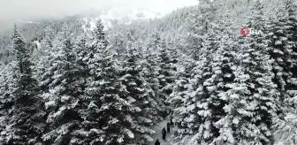Kar Altında Mest Eden Güzellik: Gümüşhane-Şiran Sınırındaki Tersun Dağı'nda Doğa Yürüyüşü