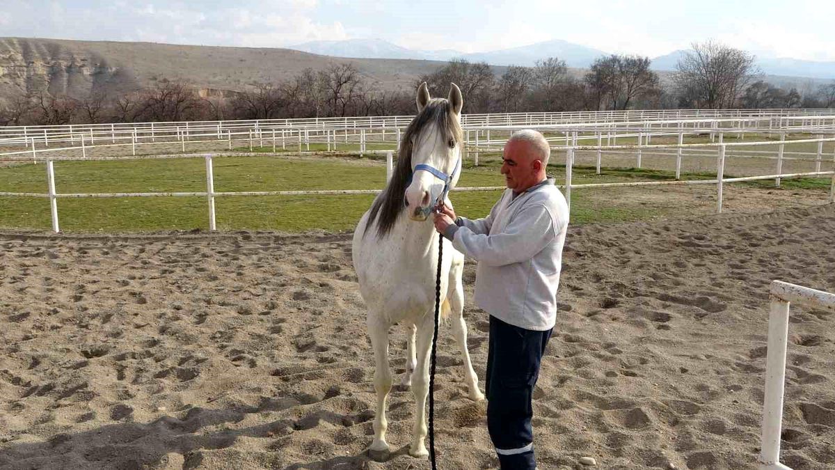 Malatya'da depremde hasar gören tavlalar yeniden inşa ediliyor