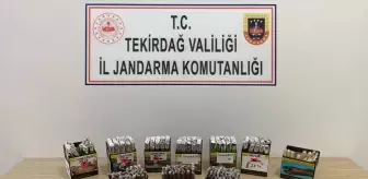 Saray ilçesinde gümrük kaçağı puro ele geçirildi