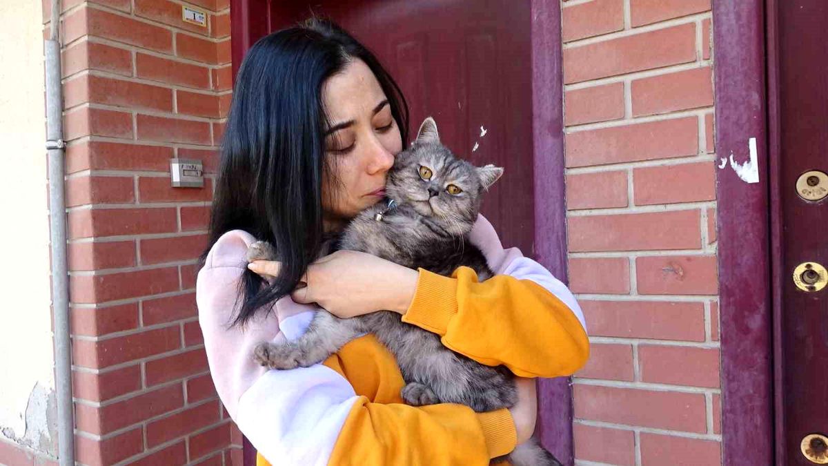 Tavşanlı'da kayıp kedi 10 gün sonra bulundu