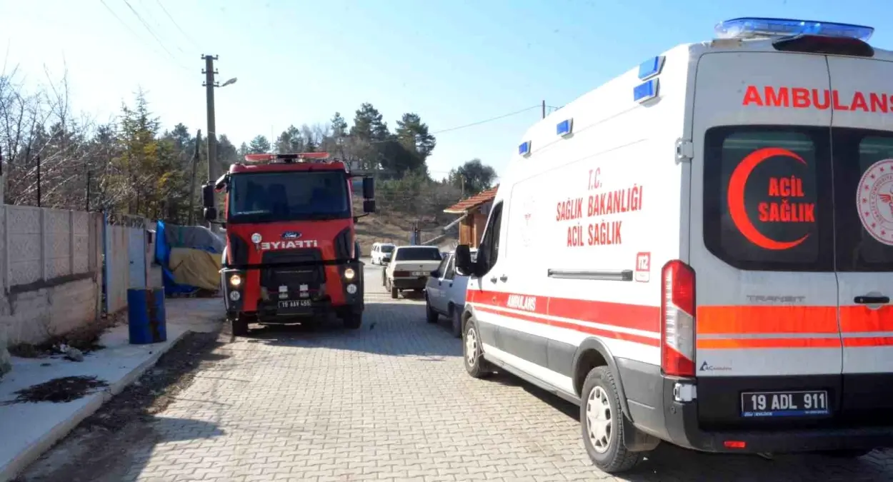 Çorum'un Alaca ilçesinde çıkan yangın zamanında söndürüldü