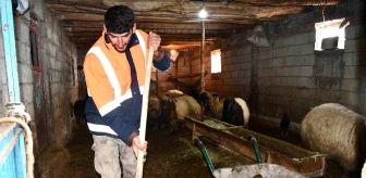 Şırnak'ta Hayvancılar Zorlu Kış Mesaisine Devam Ediyor