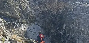 Darende'de mahsur kalan 8 keçi itfaiye ekiplerince kurtarıldı