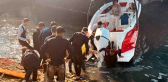 Şanlıurfa'da Fırat Nehri'ne atlayan kadını çevredeki vatandaşlar son anda kurtardı