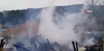 Afyonkarahisar'da 29 hayvanın telef olduğu yangında felaketin boyutu gün ağardığından ortaya çıktı