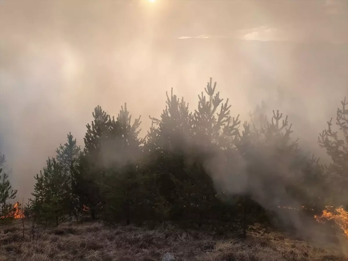 Kastamonu'da ormanlık alanda çıkan yangın kontrol altına alındı