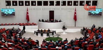 DEM Partisi Milletvekili Perihan Koca, AKP Milletvekili Fatma Öncü'ye el hareketi yaptı iddiası