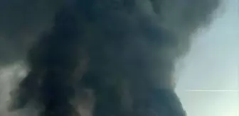 Tokat'ın Reşadiye ilçesinde çıkan örtü yangını söndürüldü