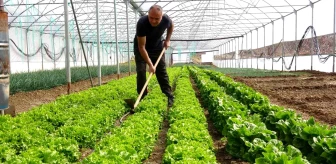 Ankara'da İnşaat Yapı Malzemeleri İşiyle Uğraşan Ömer Durak, Yozgat'ta Organik Tarım Sera İşine Başladı