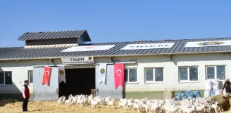 Tarım ve Orman Bakanı Yumaklı: Türkiye'nin tarımsal üretiminde problem yok