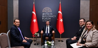 Cumhurbaşkanı Yardımcısı Cevdet Yılmaz, Türk Yatırım Fonu Başkanı Baghdad Amreyev'i kabul etti