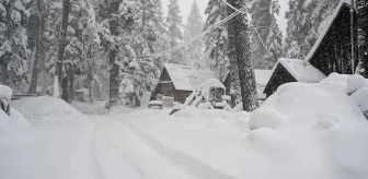 ABD'nin California eyaletini kar fırtınası vurdu
