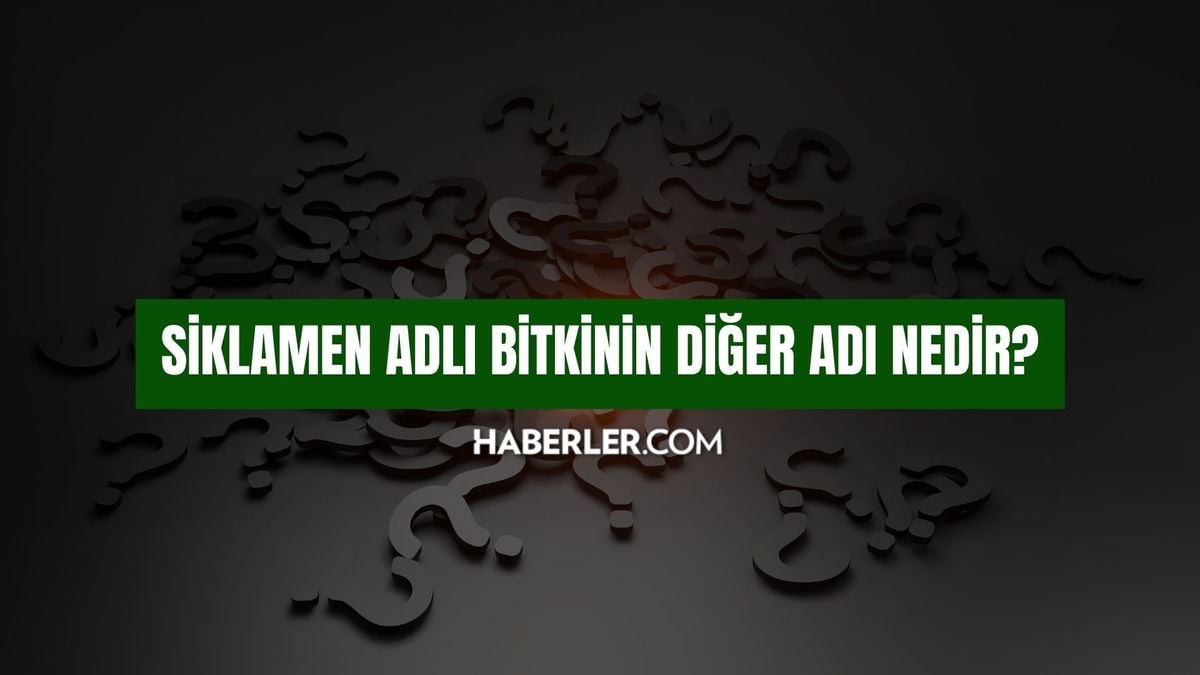 Siklamen adlı bitkinin diğer adı nedir? Siklamen bitkisi nedir, ne için kullanılır?