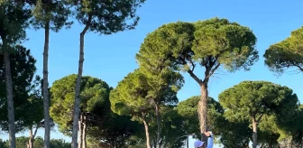 Türkiye Golf Turu'nun 3. Ayak Müsabakaları Tamamlandı