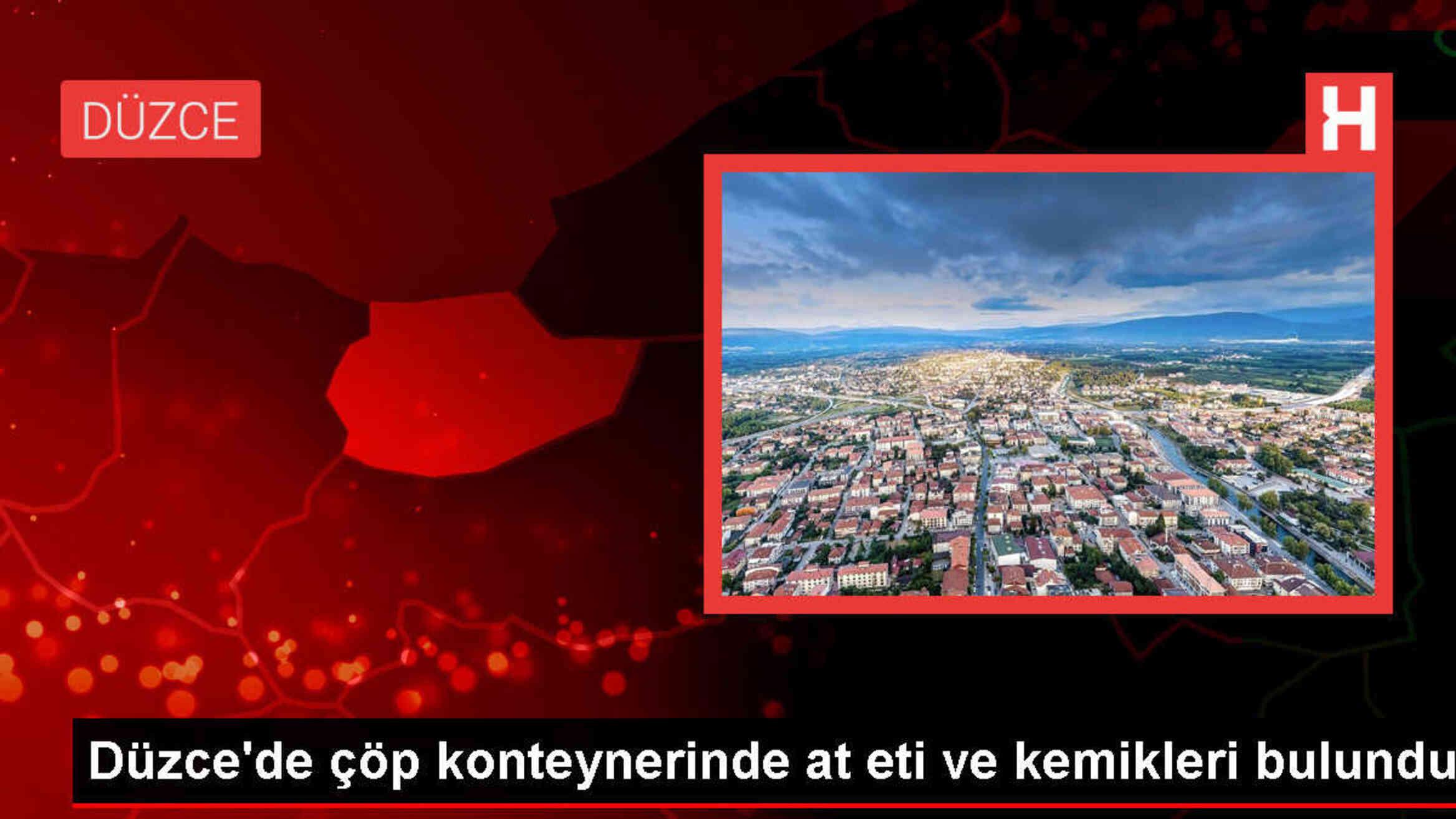 Düzce'de çöp konteynerinde at eti ve kemikleri bulundu