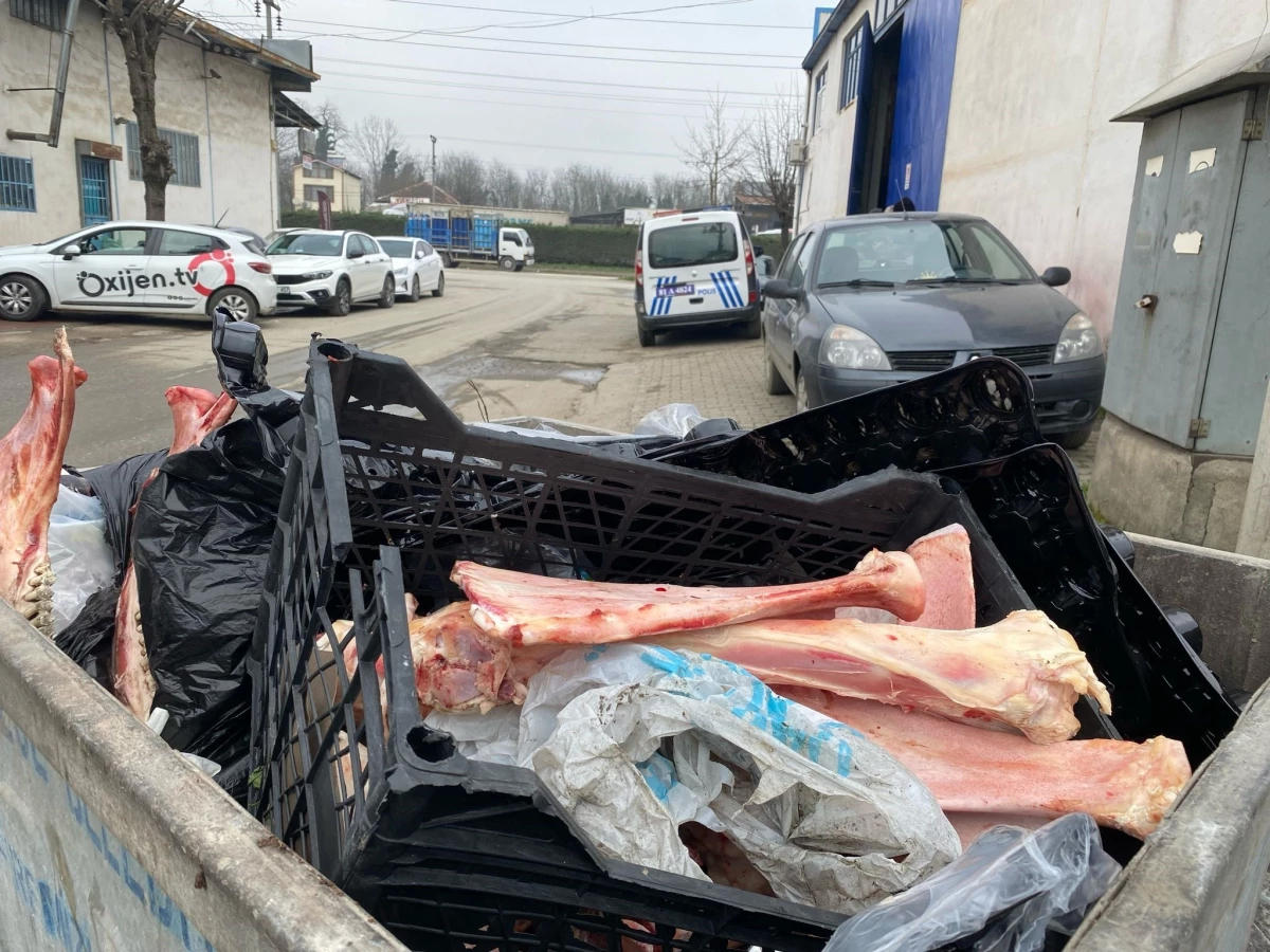 Çöp konteynerinde eti sıyrılmış at kemikleri bulundu