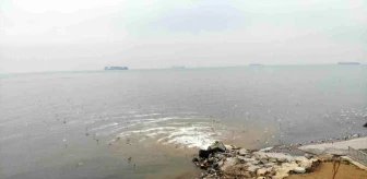 Beylikdüzü'nde Kanalizasyon Çalışması Sonrası Marmara Denizi'nde Kötü Koku ve Pis Görüntü Oluştu
