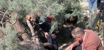 Burdur'da Kuvvetli Rüzgar Nedeniyle Ağaç Devrildi, Saadet Partisi Belediye Başkan Adayı ve Oğlu Yaralandı
