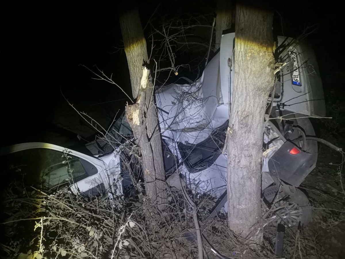 Tokat'ın Niksar ilçesinde ağaca çarpan otomobildeki 2 kişi yaralandı