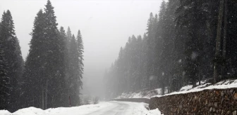 Ilgaz Dağı'nda Kar Yağışı