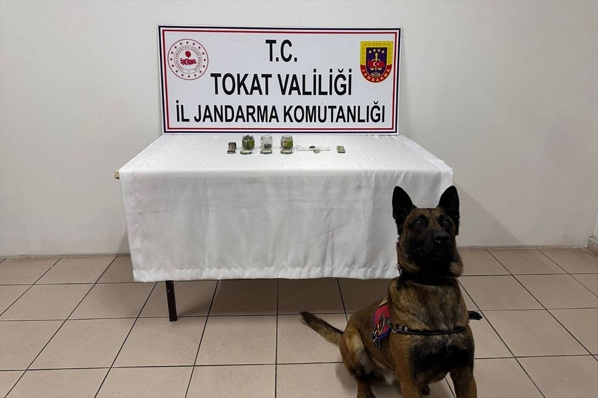 Tokat'ta Tarihi Eser Operasyonu: 8 Kişi Gözaltına Alındı