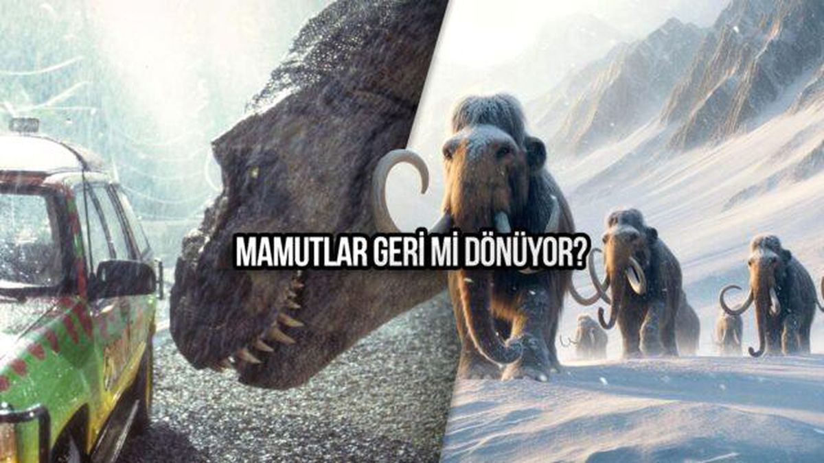 Nesli Tükenen Mamutları Hayata Döndürme Projesi İlerliyor