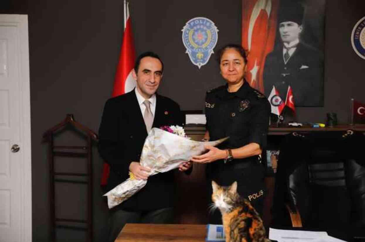 Murat Sarman kimdir? AK Parti İzmir- Narlıdere Belediye Başkan adayı Murat Sarman kaç yaşında, nereli? Murat Sarman kimdir? AK Parti İzmir- Narlıdere Belediye Başkan adayı Murat Sarman kaç yaşında, nereli?