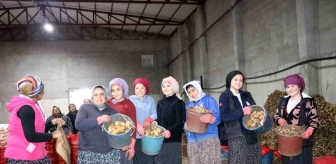 Afyonkarahisar'ın Sandıklı ilçesinde patates üreticisi kadınlar 8 Mart'ı soğuk hava depolarında geçirdi