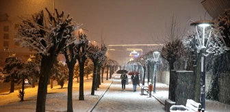 Bingöl ve çevresinde akşam saatlerinde kar yağışı etkili oldu