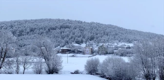 Karabük ve Bolu'nun yüksek kesimlerinde kar etkili oldu