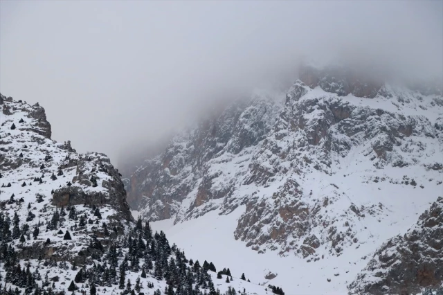 Turistlerle dağ kayağı yaparken üzerine kar kütlesi düşen Türk rehber hayatını kaybetti