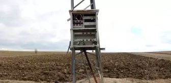 Afyonkarahisar'da Çiftçilerin Sulama Kuyularından Elektrik Panosu ve Kablolar Çalındı