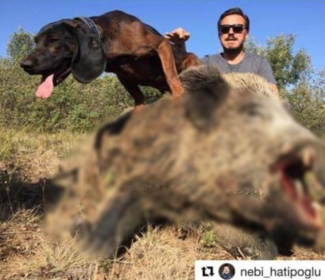 AK Parti'nin Eskişehir adayı Nebi Hatipoğlu'nun geyik ve yaban domuzu avladığı görüntüler ortaya çıktı