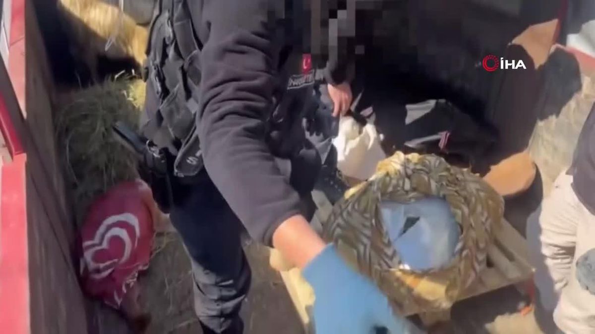 Erzincan'da 18 milyon TL değerinde 58 kilo 500 gram skunk ele geçirildi