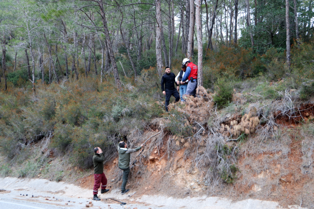 Antalya'da orman yangınını çıkaran şahıs, küle dönen alanın ortasında yerde yatarken bulundu