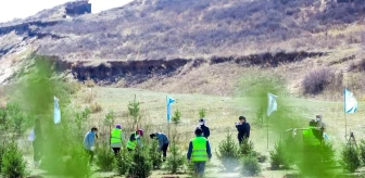 Çin'in İç Moğolistan Bölgesi'nde 110 Milyon Kez Gönüllü Ağaç Dikimi Yapıldı