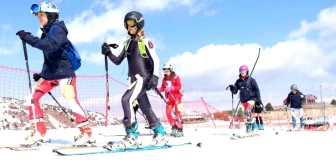 Dağ Kayağı Gençler ve Büyükler Türkiye Şampiyonası Erzincan'da Düzenlenecek